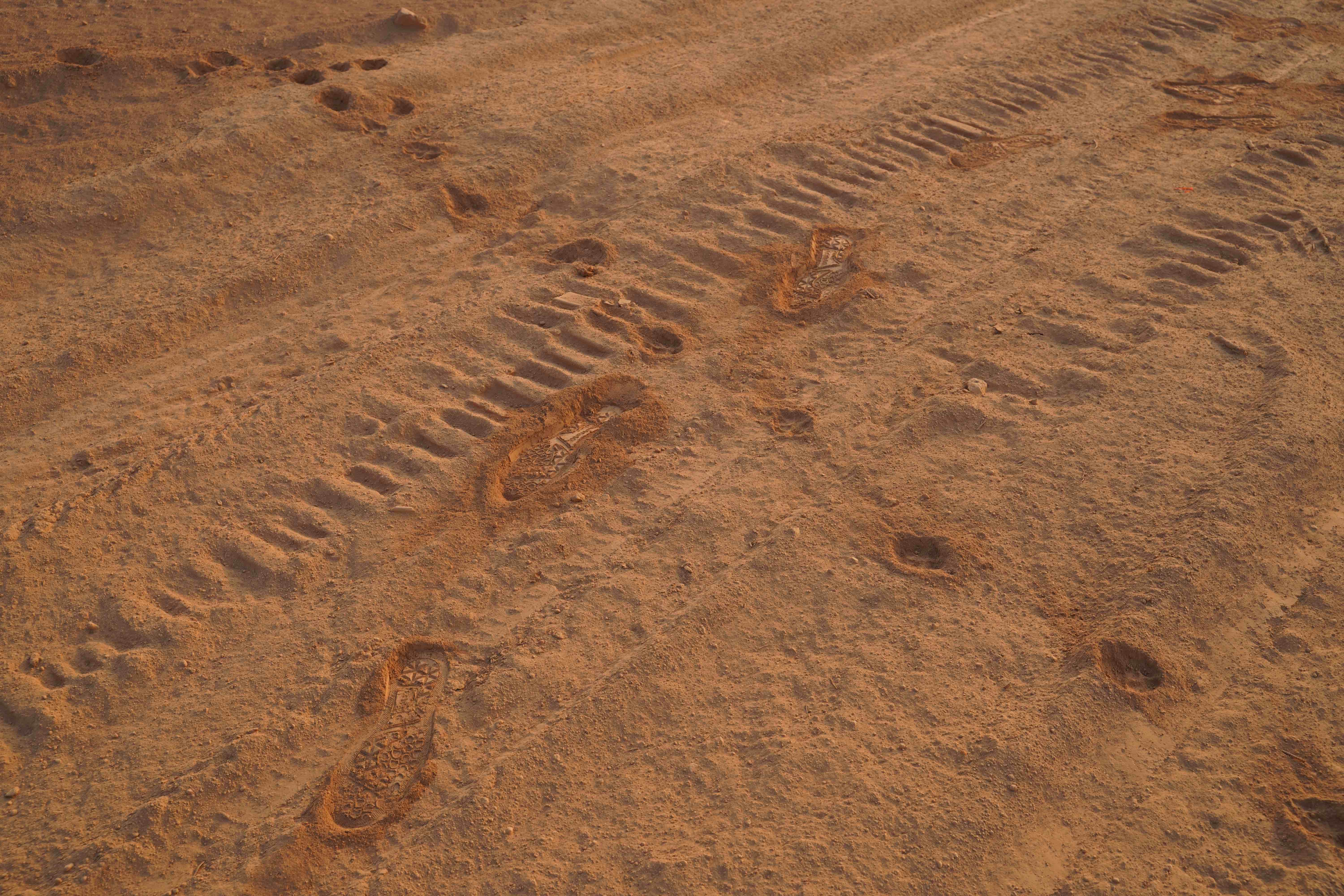 Living in the Suburbs 1